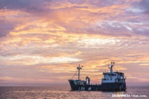 Ocearch