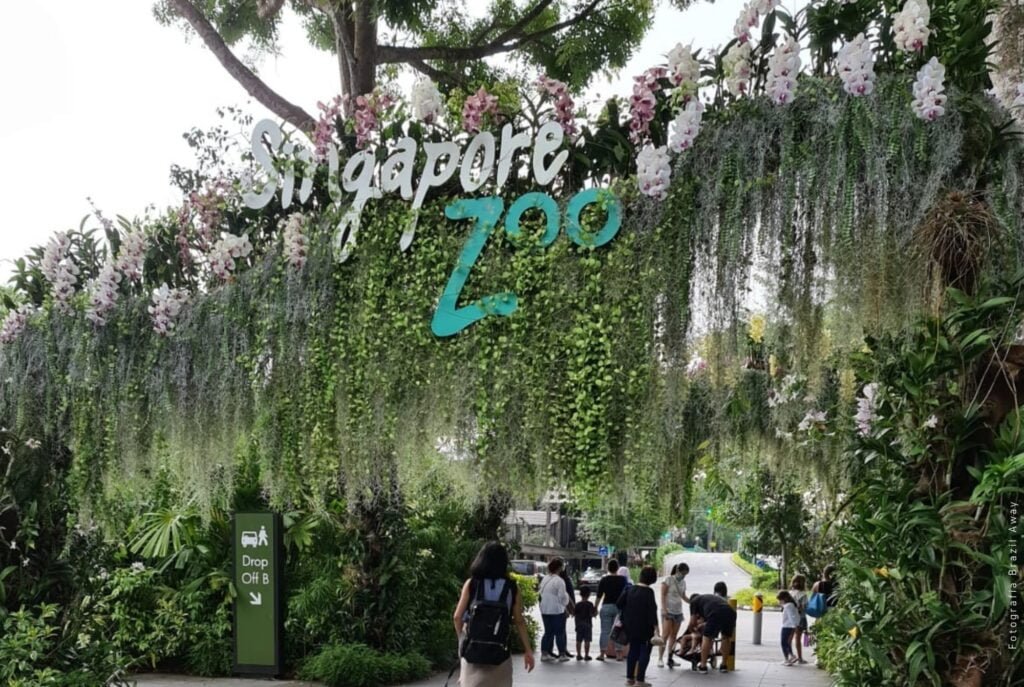 Zoo 